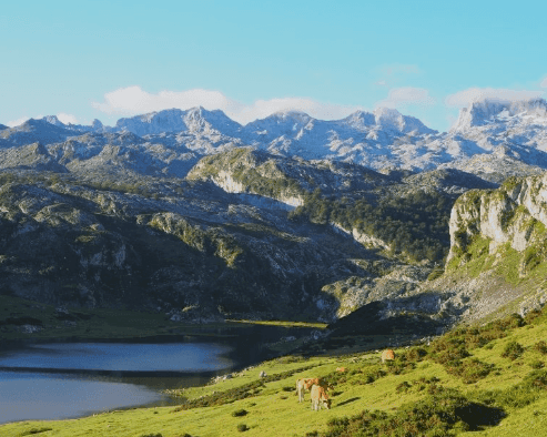 Anillo de Picos — image 3