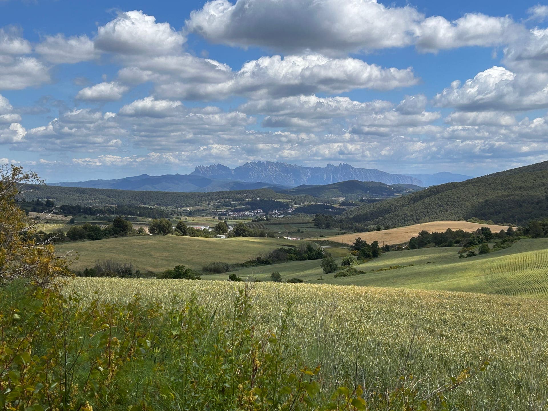 Penedès Gravel Discovery — image 2