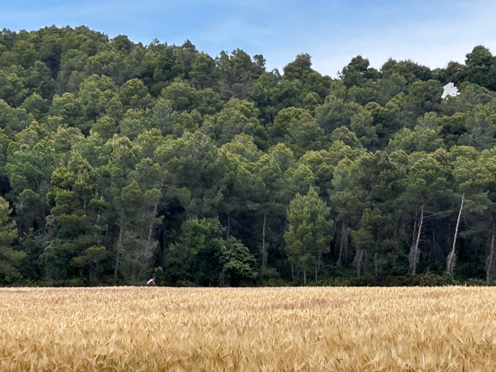 Penedès Gravel Discovery — image 3