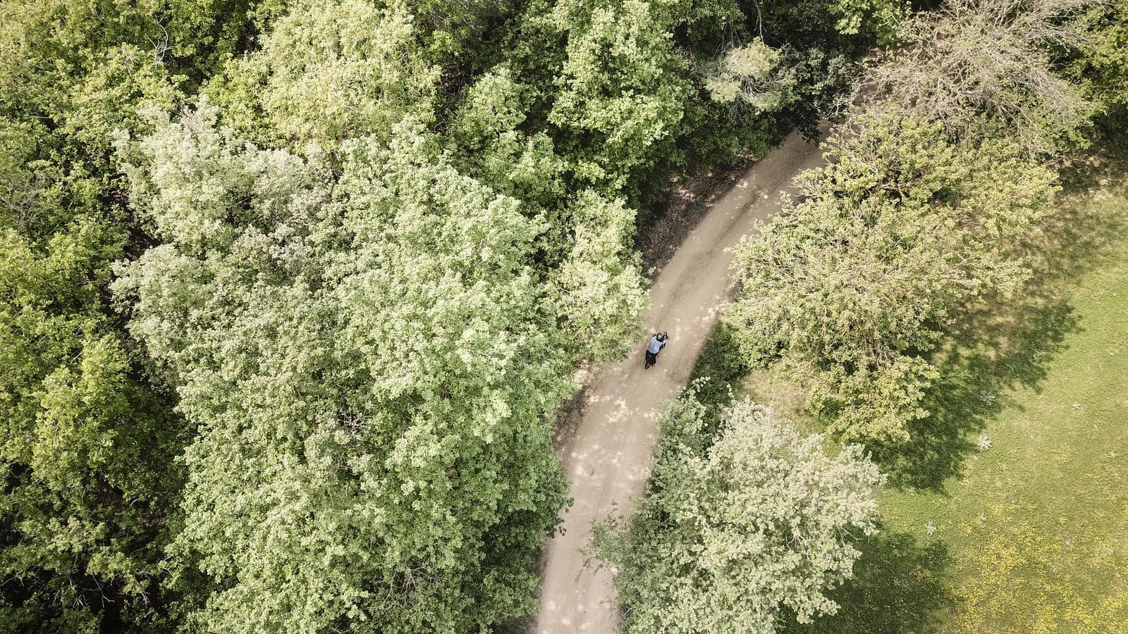 Pirinexus Gravel Touring